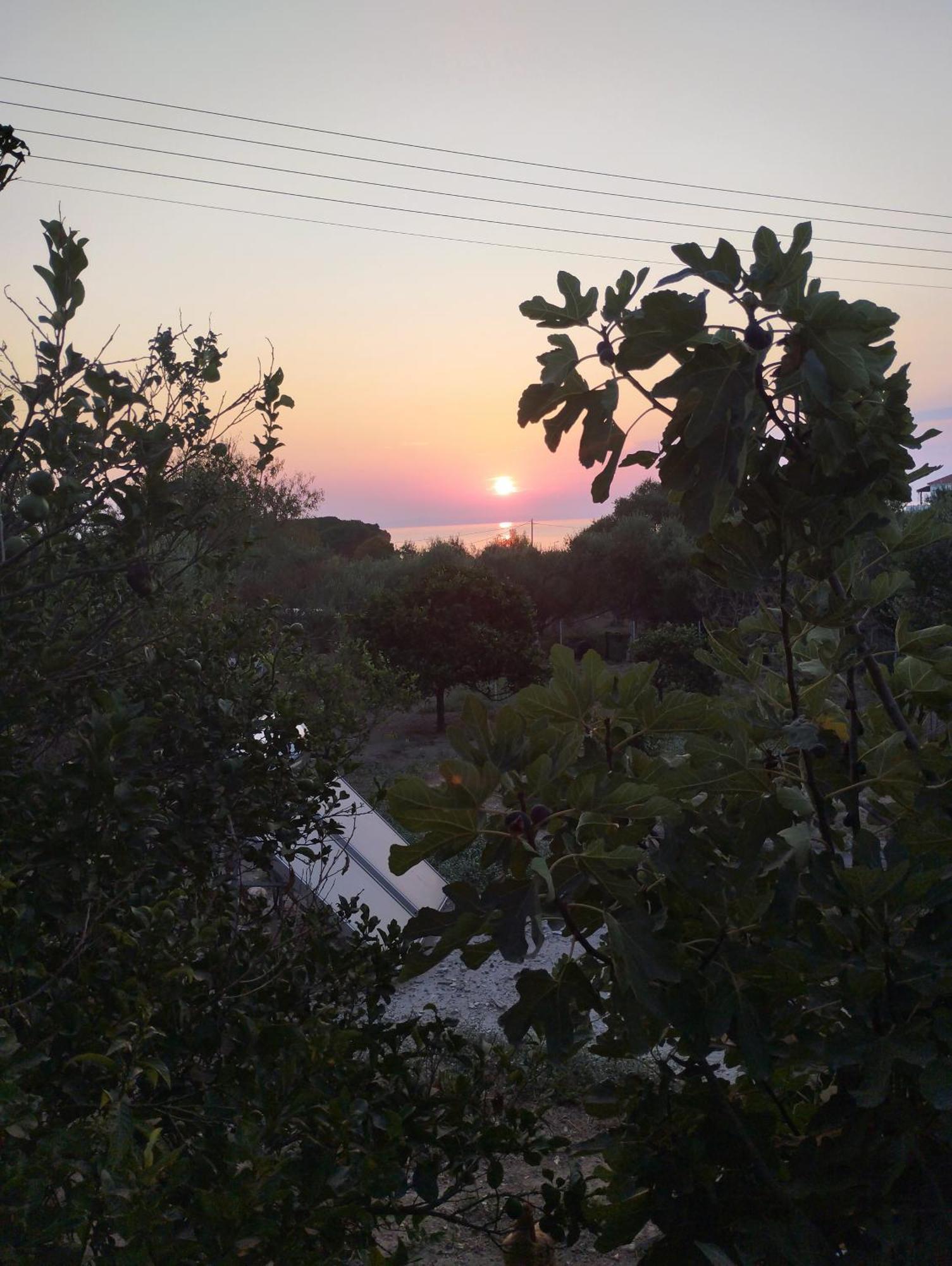 Stelios Studios Tragaki Exterior foto